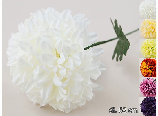 Chryzantema pojedyncza 62 cm
