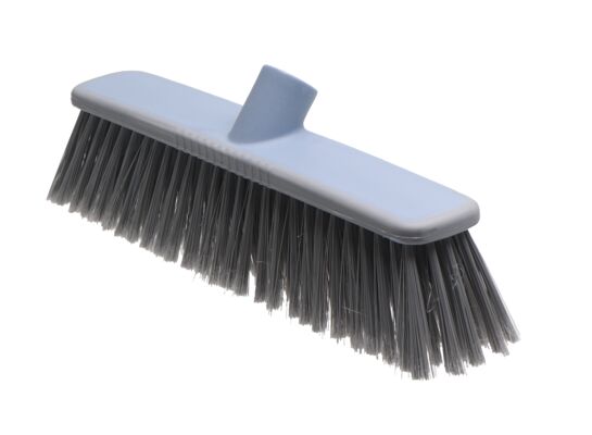 Miotła błękitna Viviana