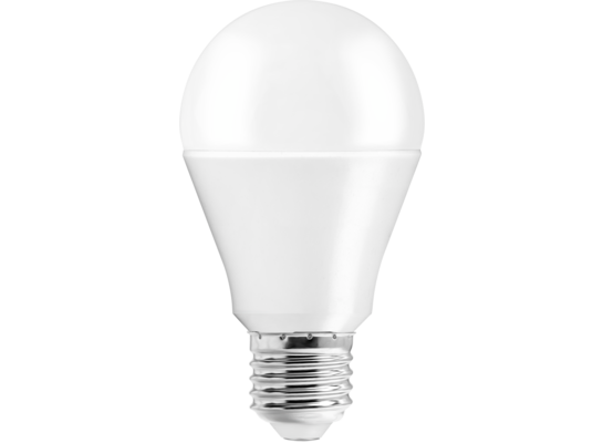Żarówka LED E27 A60 10W 3000K