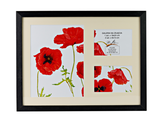 Galeria na zdjęcia Passe-Partout 1 x 18 x 24 cm, 2 x 9 x 13 cm