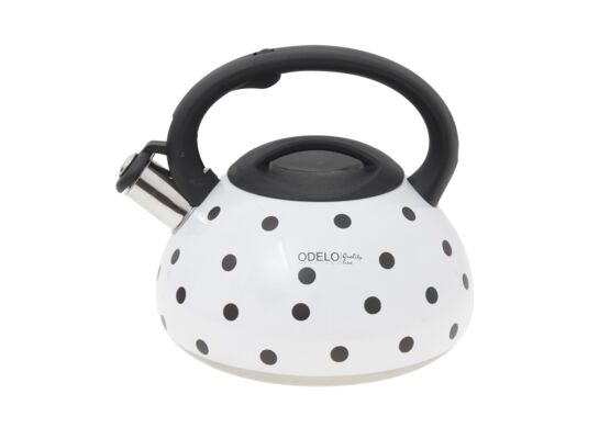 Czajnik stalowy DOTTA OD1992