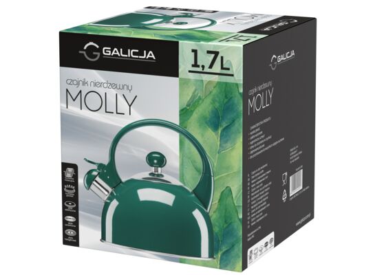 Czajnik nierdzewny MOLLY 1,7 l zielony