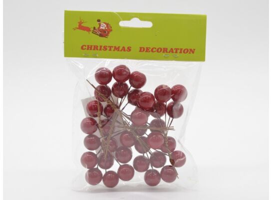 Jarzębina na piku 9 cm 5 sztuk