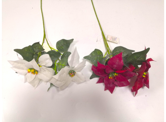 Gałązka poinsecji 2 kwiaty 63 cm mix