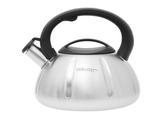 Czajnik stalowy CHICO z gwizdkiem 3 l