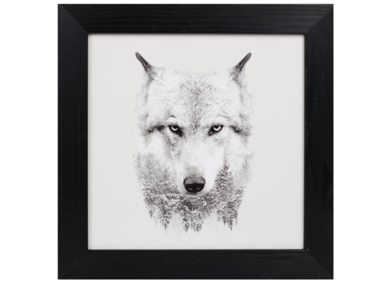 Fotografie w ramie 30 x 30 cm