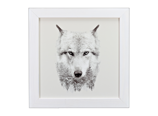 Fotografie w ramie 30 x 30 cm