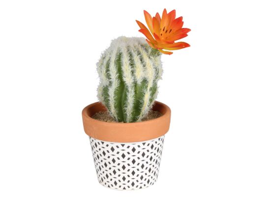 Sztuczny kwiat w doniczce kaktus 3 17 cm biało-czarna doniczka