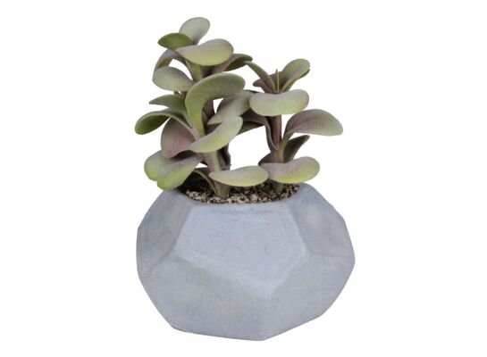 Sztuczny kwiat w doniczce ozdobnej grubosz 17 cm