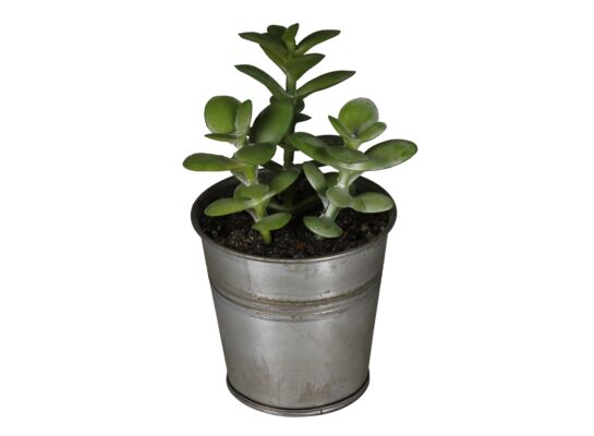 Sztuczny kwiat w doniczce metalowej sukulent 3 13 cm