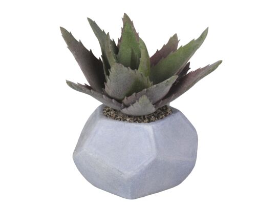 Sztuczny kwiat w doniczce ozdobnej agawa 17 cm