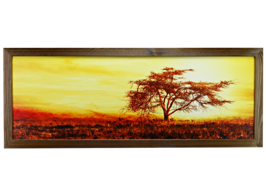 Fotografie w ramie 35 x 100 cm