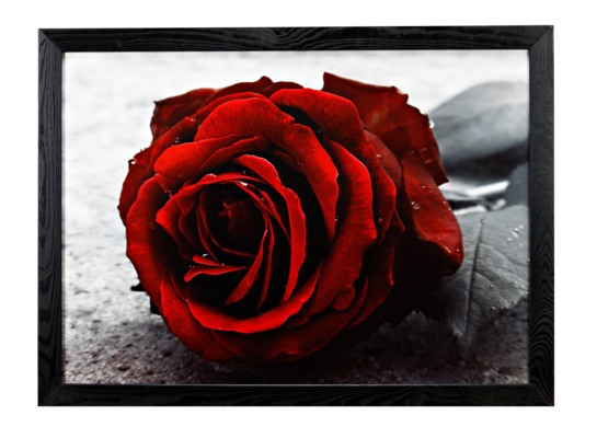 Fotografie w ramie 70 x 100 cm