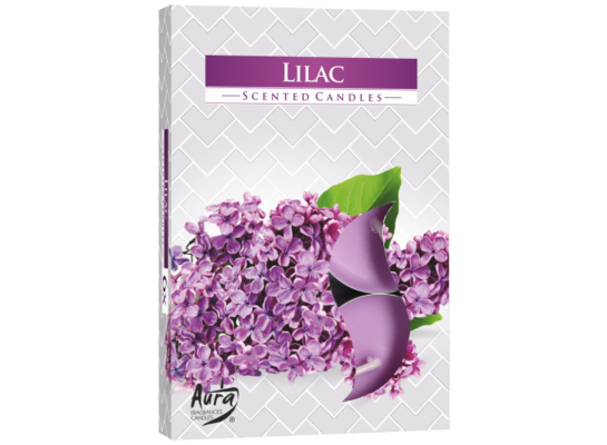 Podgrzewacz zapachowy bez 6 sztuk Bispol