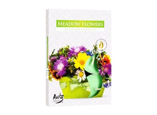 Podgrzewacz zapachowy kwiatowa łąka 6 sztuk Bispol