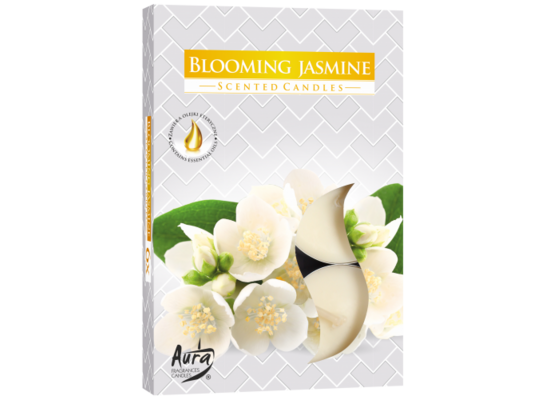 Podgrzewacz zapachowy kwitnący jaśmin 6 sztuk Bispol