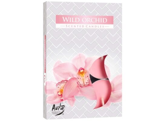 Podgrzewacz zapachowy dzika orchidea 6 sztuk Bispol