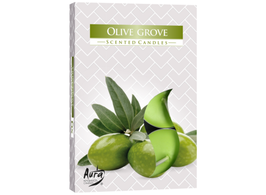 Podgrzewacz zapachowy gaj oliwny 6 sztuk Bispol