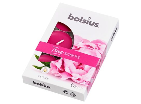 Podgrzewacz zapachowy True Scents Piwonia 6 sztuk Bolsius