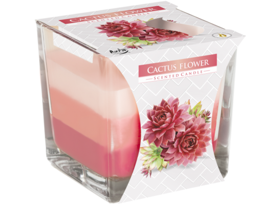 Świeca zapachowa w szkle SNK80 kwiat kaktusa Bispol