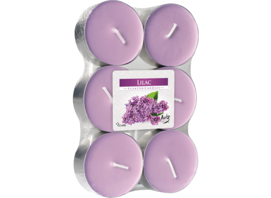 Podgrzewacz zapachowy maxi bez 6 sztuk Bispol