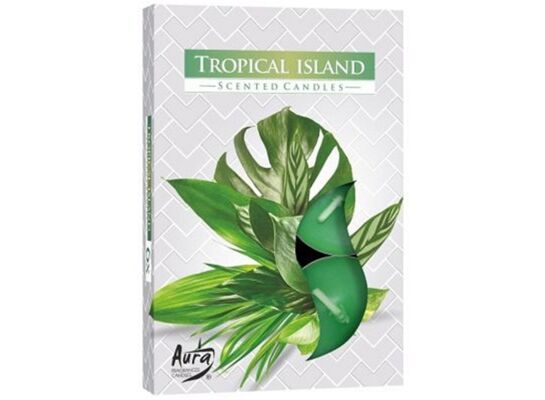 Podgrzewacz zapachowy tropikalna wyspa 6 sztuk Bispol