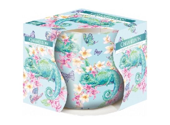 Świeca zapachowa w szkle SN71 kameleon Bispol