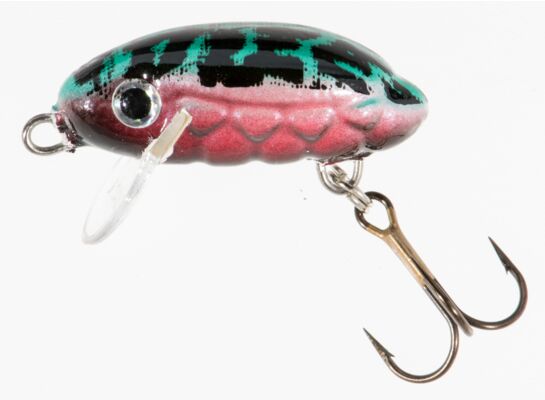 Wobler HOLO SELECT CHRABĄSZCZ SMUŻAK CT 3 cm