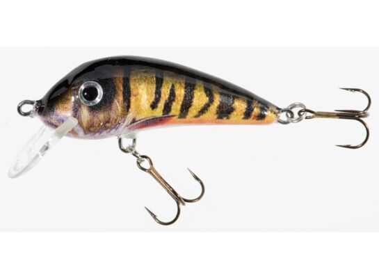 Wobler HOLO SELECT SENSO OE 6 cm