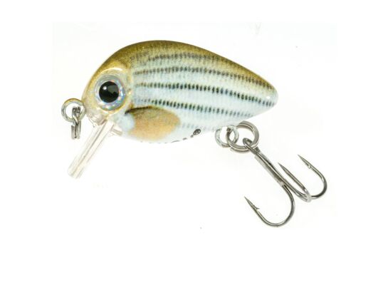 Wobler ATRACT PIXEL I 2,5 cm