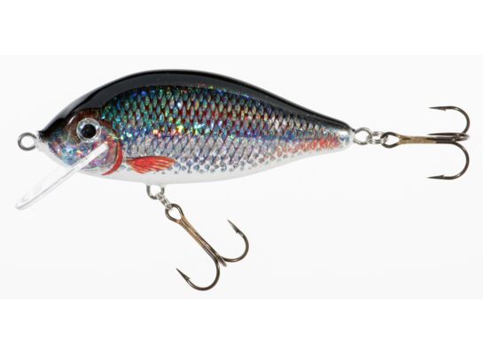 Wobler HOLO SELECT KARAŚ P 9 cm