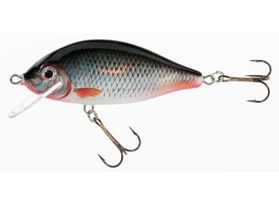 Wobler HOLO SELECT KARAŚ D 9 cm