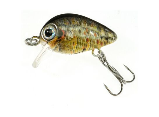 Wobler ATRACT PIXEL F 2,5 cm