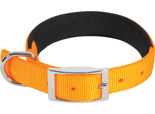 Obroża nylon KOMFORT 50 cm/25 mm kol. pomarańczowy ZOLUX
