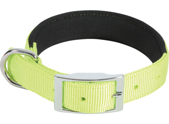 Obroża nylon KOMFORT 65 cm/25 mm kol. seledynowy ZOLUX