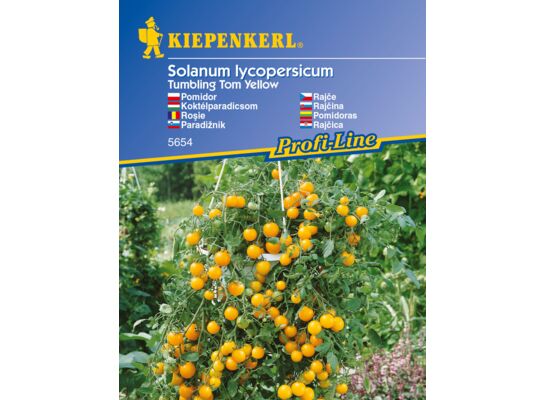 Pomidor Tom Yellow