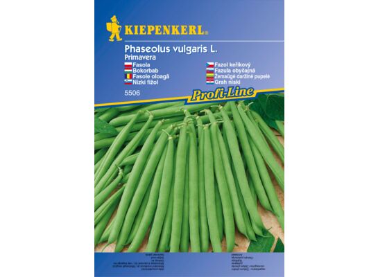 Fasola  Primavera odporna