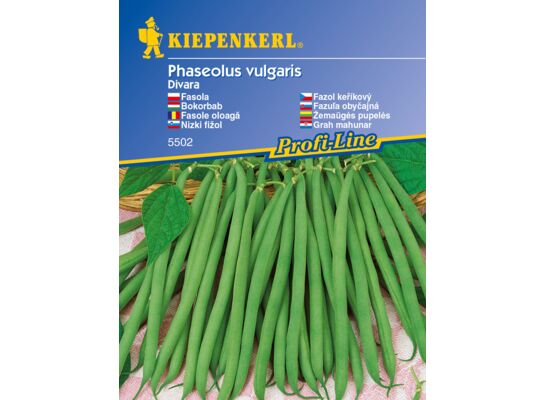 Fasola Divara odporna