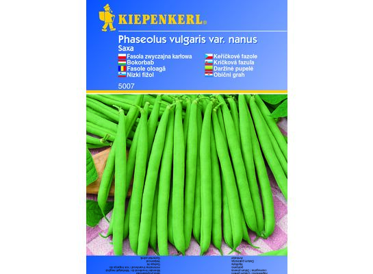 Fasola karłowa Saxa