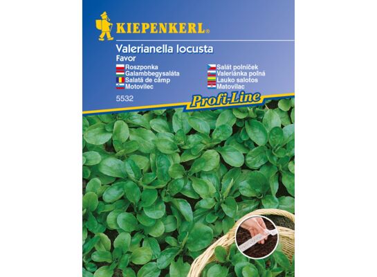 Sałata polna Favor - na taśmie 5 m