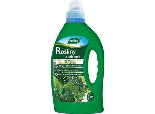 Nawóz płynny do roślin zielonych 1 l Westland
