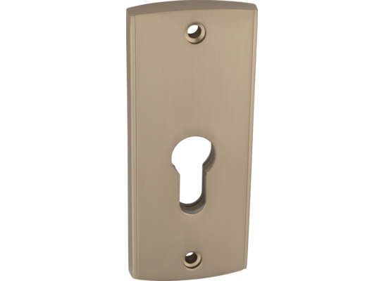 Szyld drzwi zewnętrzne SELENE nikiel mat