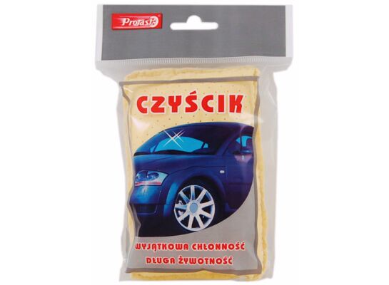 Czyścik gąbka PROFAST