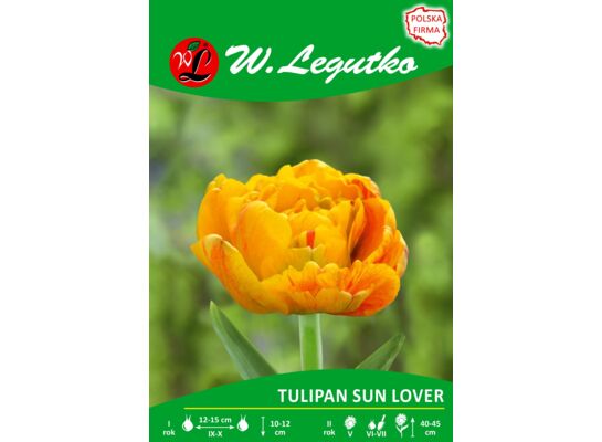 Tulipan Sunlover