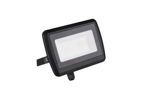 Naświetlacz ANTEM LED 50 W neutralna biel NW B