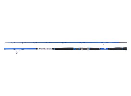 Wędka INTENSA GTX BOAT WJ-IXO235180 235 cm 70-180 g
