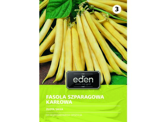 Fasola szparagowa karłowa żółta Złota Saxa 30 g Eden