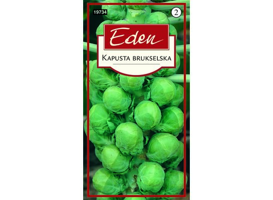 Kapusta brukselska Groninger 2 g Eden
