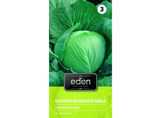 Kapusta głowiasta biała Kamienna Głowa 2 g Eden