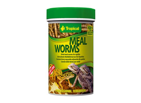 Pokarm terra meal worms 100 ml 13 g Tropical